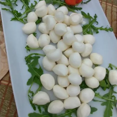 Antica Casa Scardone Piedimonte San Germano