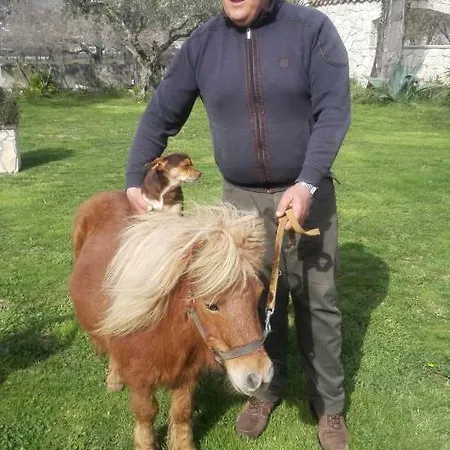 Antica Casa Scardone Piedimonte San Germano