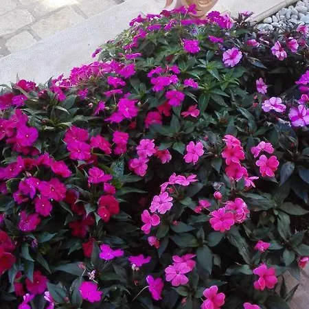 Antica Casa Scardone مزرعة للإقامة